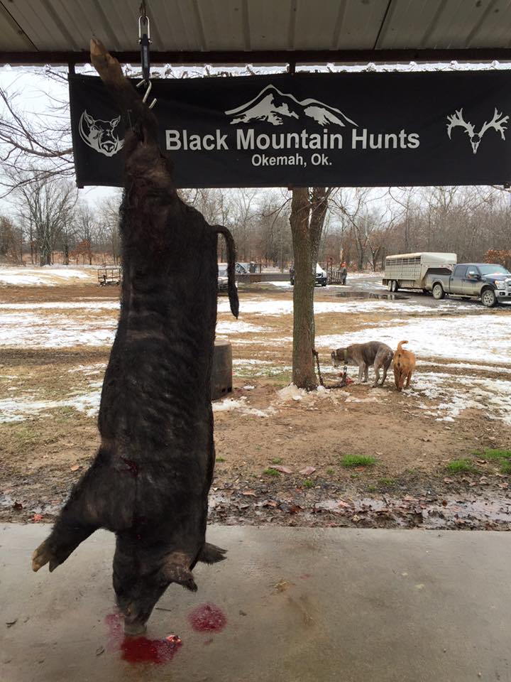 269 lb hog by Sam Wakefield             